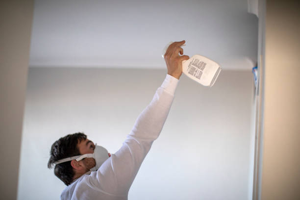 Best Water Damage Restoration  in Bellbrook, OH