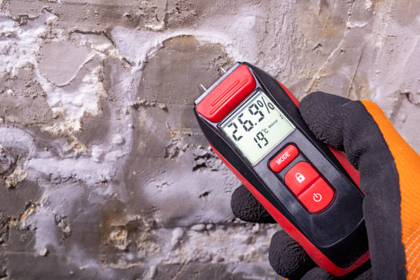 Best Mold Remediation  in Bellbrook, OH